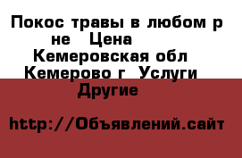 Покос травы в любом р-не › Цена ­ 200 - Кемеровская обл., Кемерово г. Услуги » Другие   